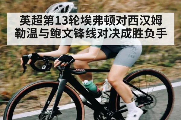英超第13轮埃弗顿对西汉姆 勒温与鲍文锋线对决成胜负手